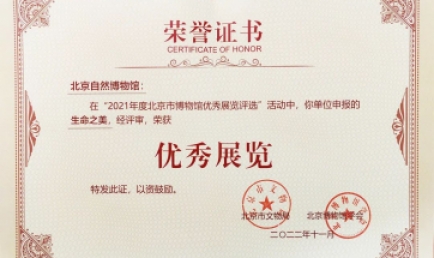 喜訊丨千里駒作品榮獲“2021年度北京市博物館優秀展覽獎”